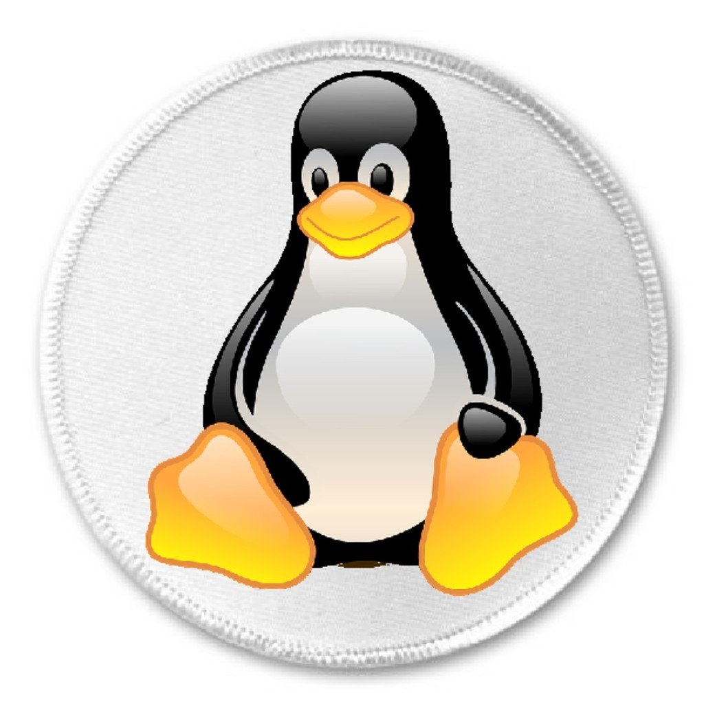 Cute Smiling Penguin - 3