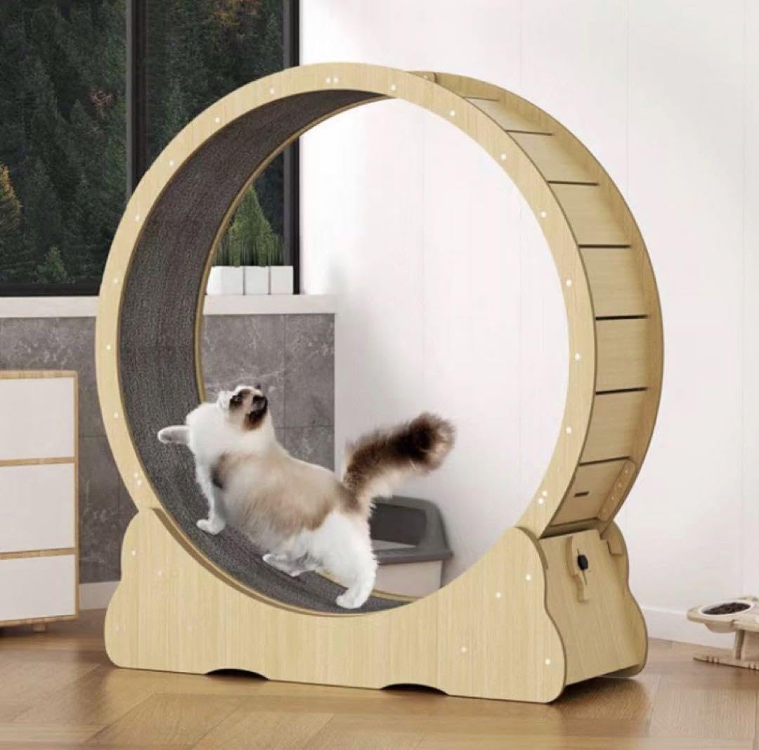 Amazon.co.jp: ルームランナー 猫 犬 トレッドミル : ペット用品