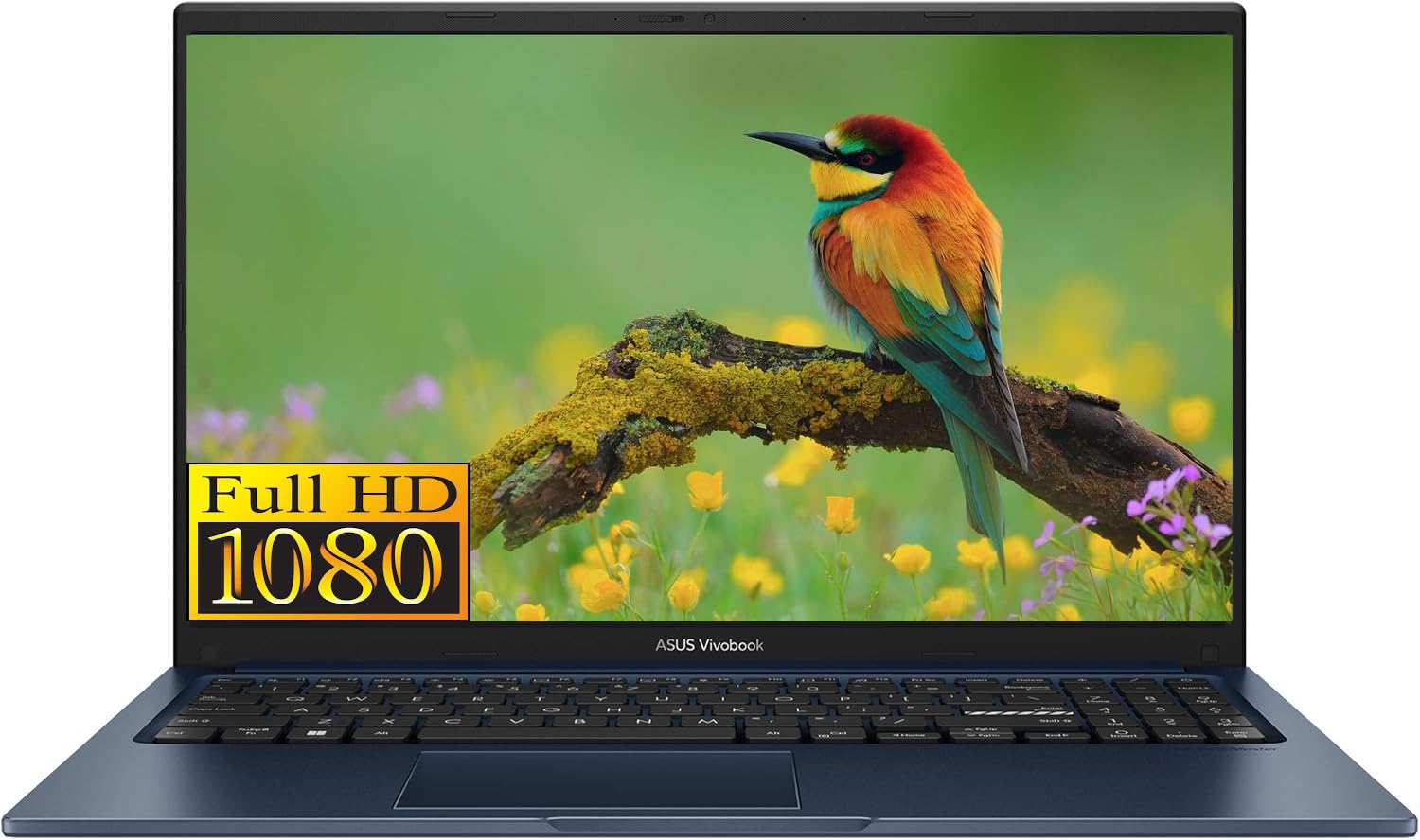 Amazon.com: ASUS VivoBook 15 High Performance Laptop in Blue Intel