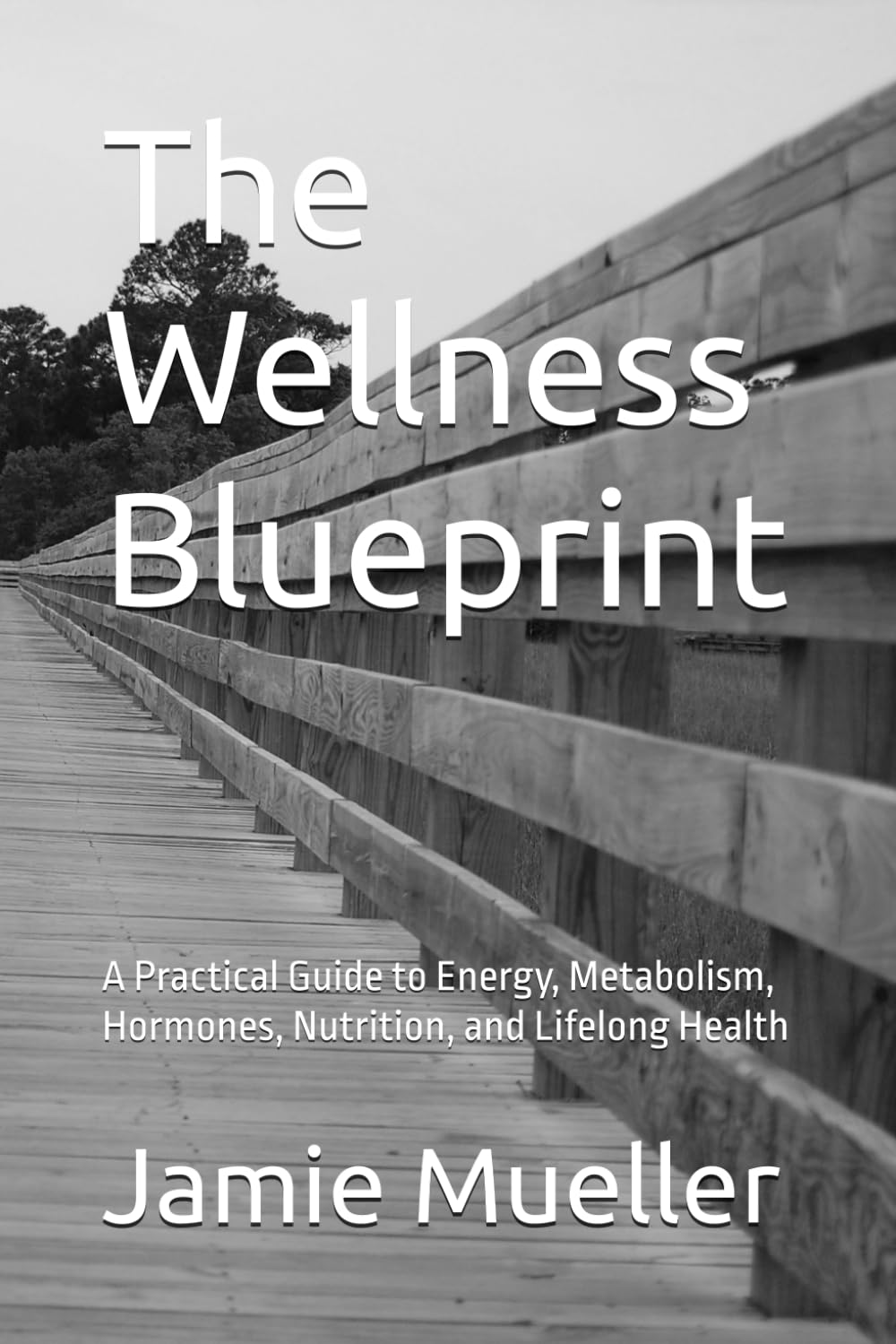 The Wellness Blueprint: A Practical Guide to Energy, Metabolism, Hormones, Nutrition, and Lifelong Health