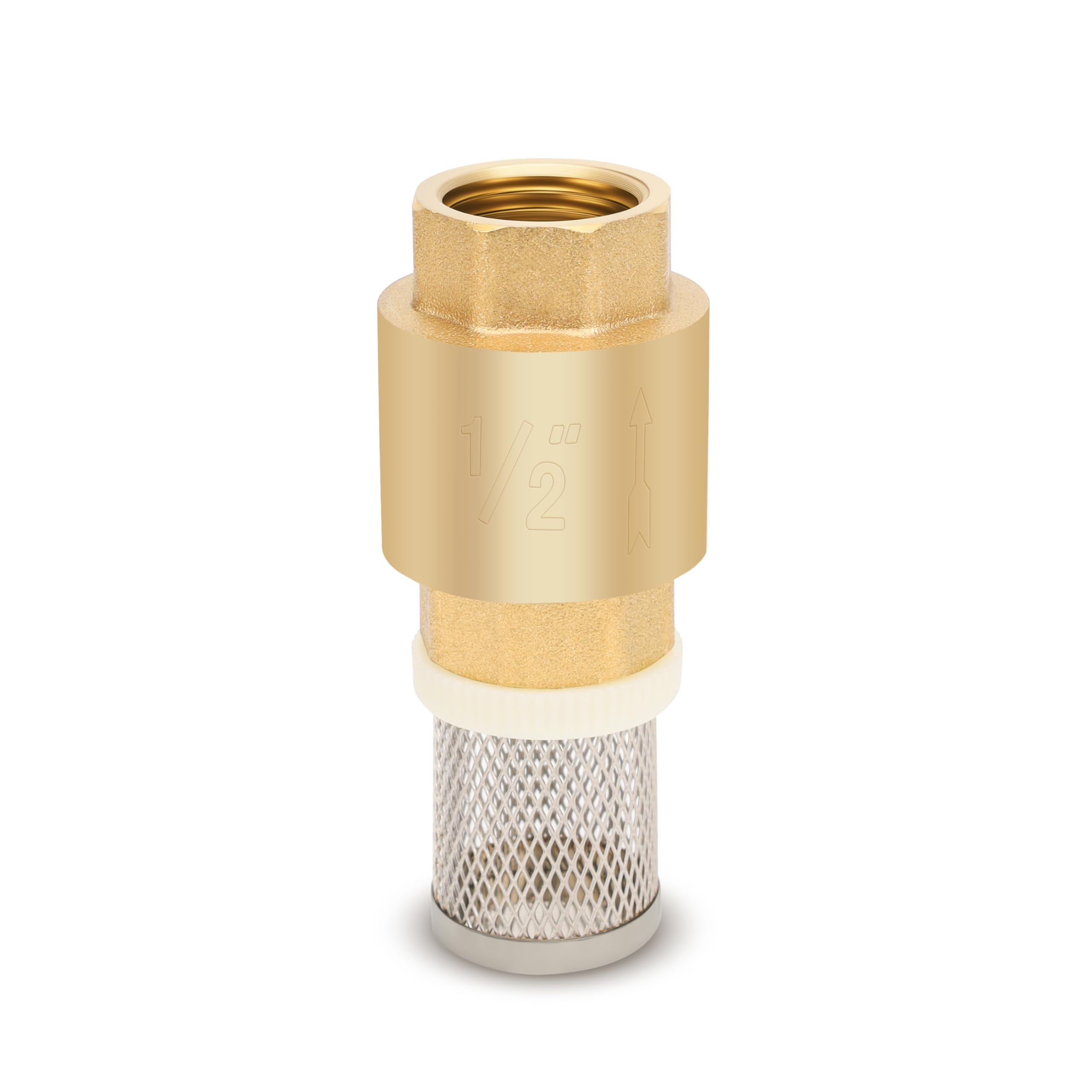 Vanne à pied NPT 1,27 cm en laiton avec crépine de filtration et clapet anti-retour vertical
