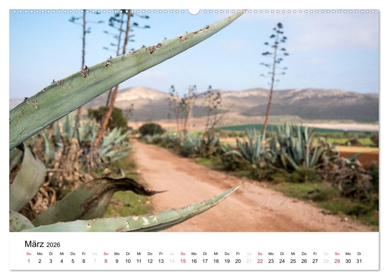 Fotoimpressionen aus Andalusien (hochwertiger Premium Wandkalender 2026 DIN A2 quer), Kunstdruck in Hochglanz: Fotografische Impressionen aus Andalusien (CALVENDO Orte)