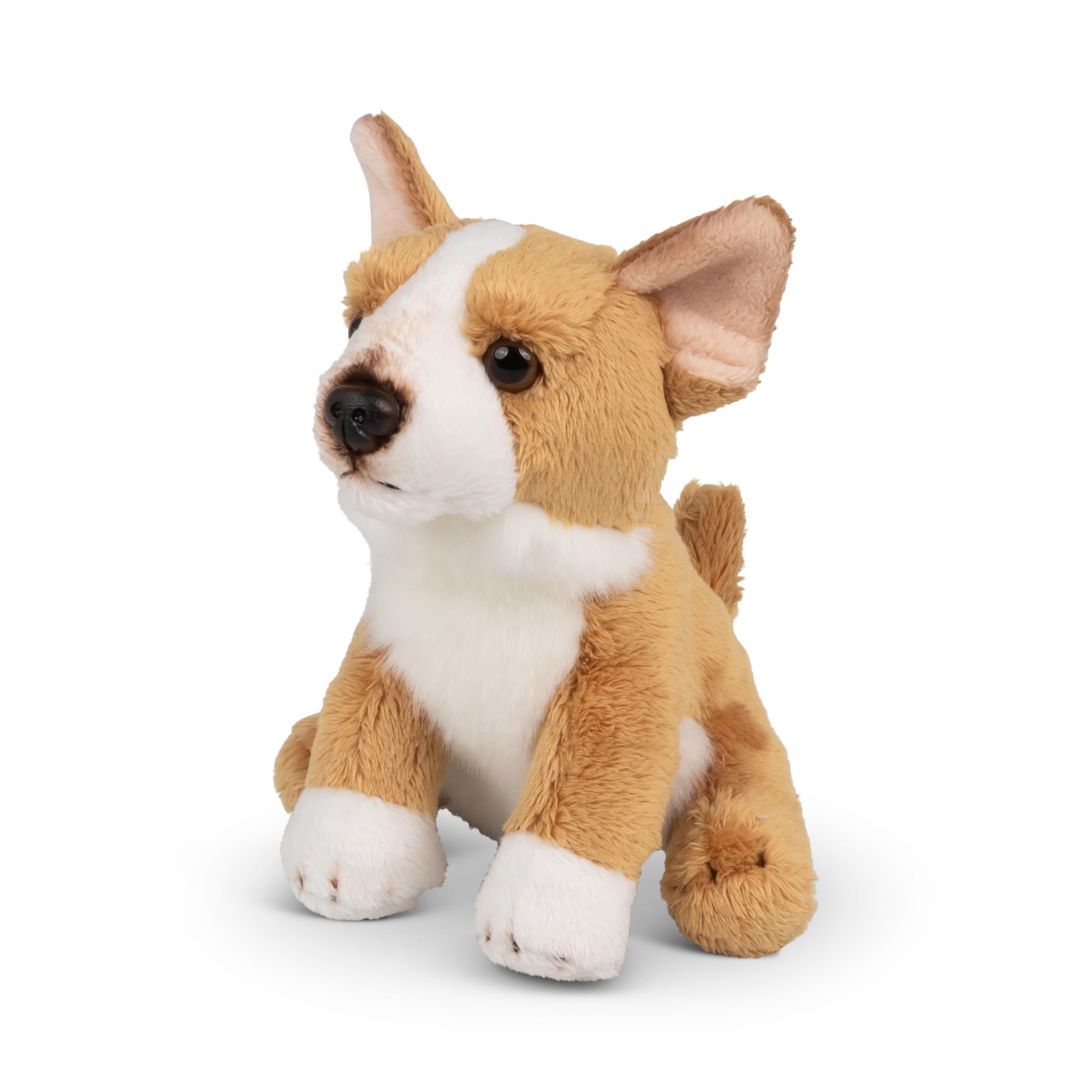 Animigos World of Nature MINI CORGI