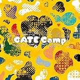  GATE Camp