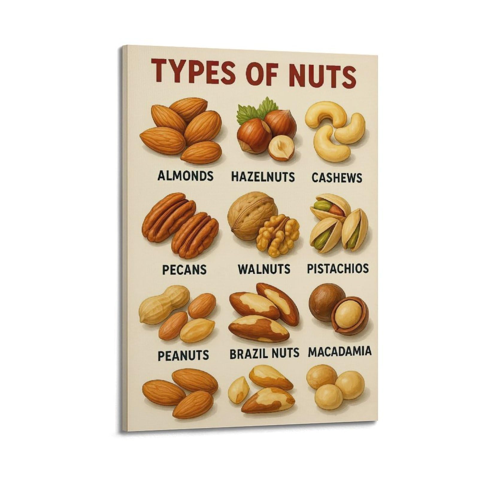 XKUGA Kids' Kitchen Science Nuts Types Guide Poster Modern Decorative Canvas Prints - Ideal Wall Art for Family, Man Cave, Game Room, Boys & Girls Bedroom 24x36inch(60x90cm)
