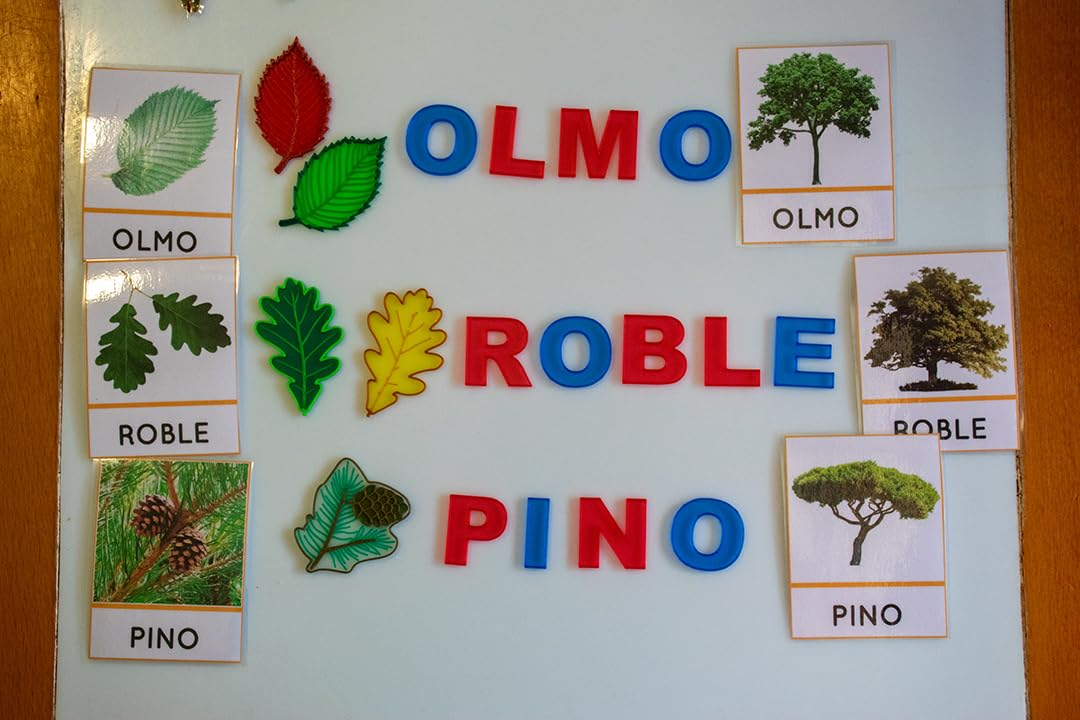 Abecedario Montessori en mayúsculas- 94 letras. Letras para aprender a leer y escribir. Alfabeto escolar en mayúsculas. Letras para niños
