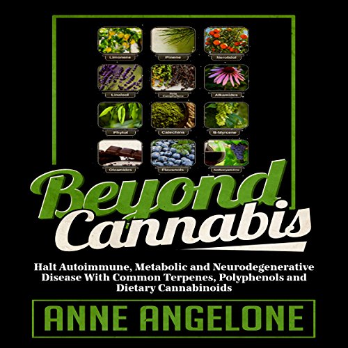 Beyond Cannabis : Anne Angelone