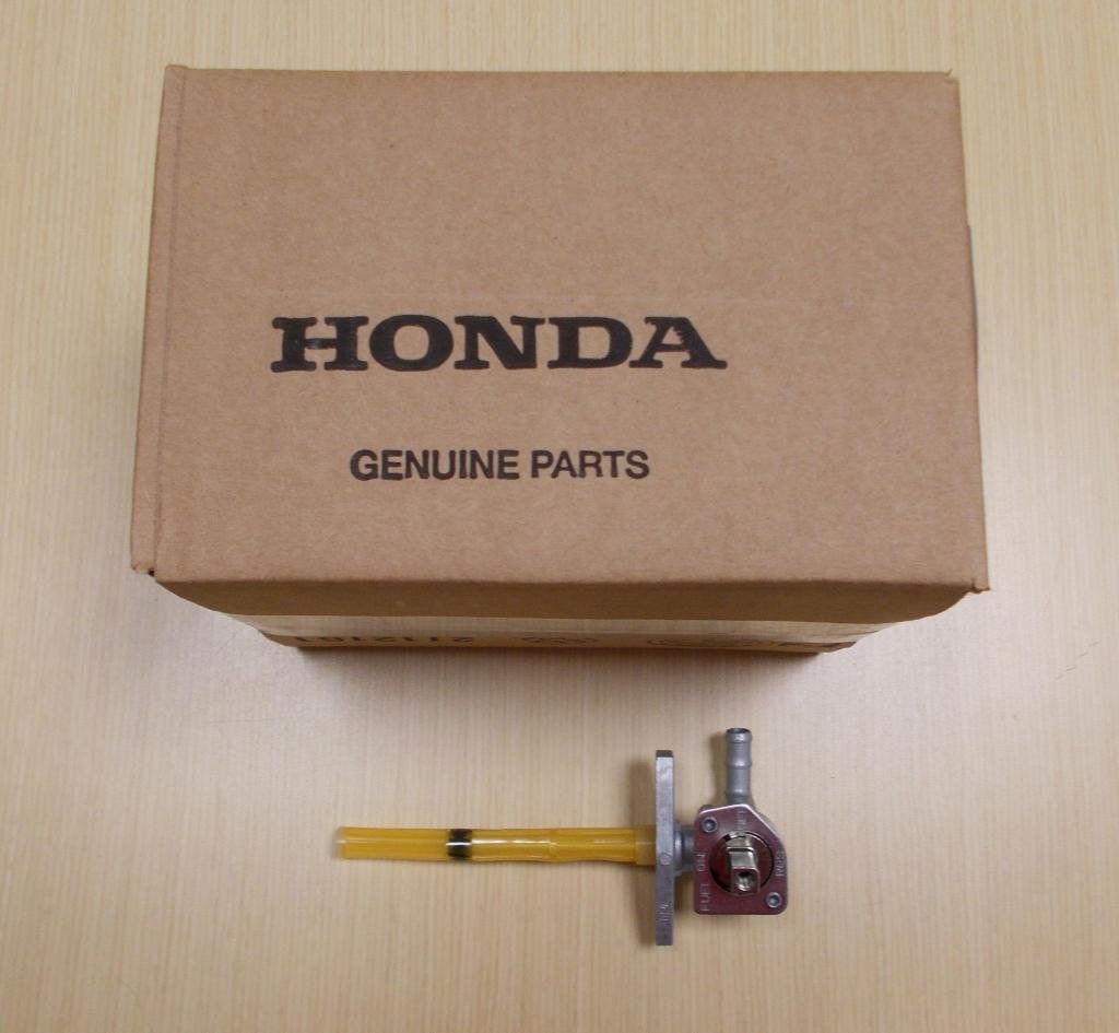 Amazon.com: New 1999-2014 Honda TRX400EX / TRX400X ATV Petcock
