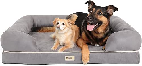 Chester XX-Large Dog Bed - Orthopedic Memory Foam Mattress, Calming