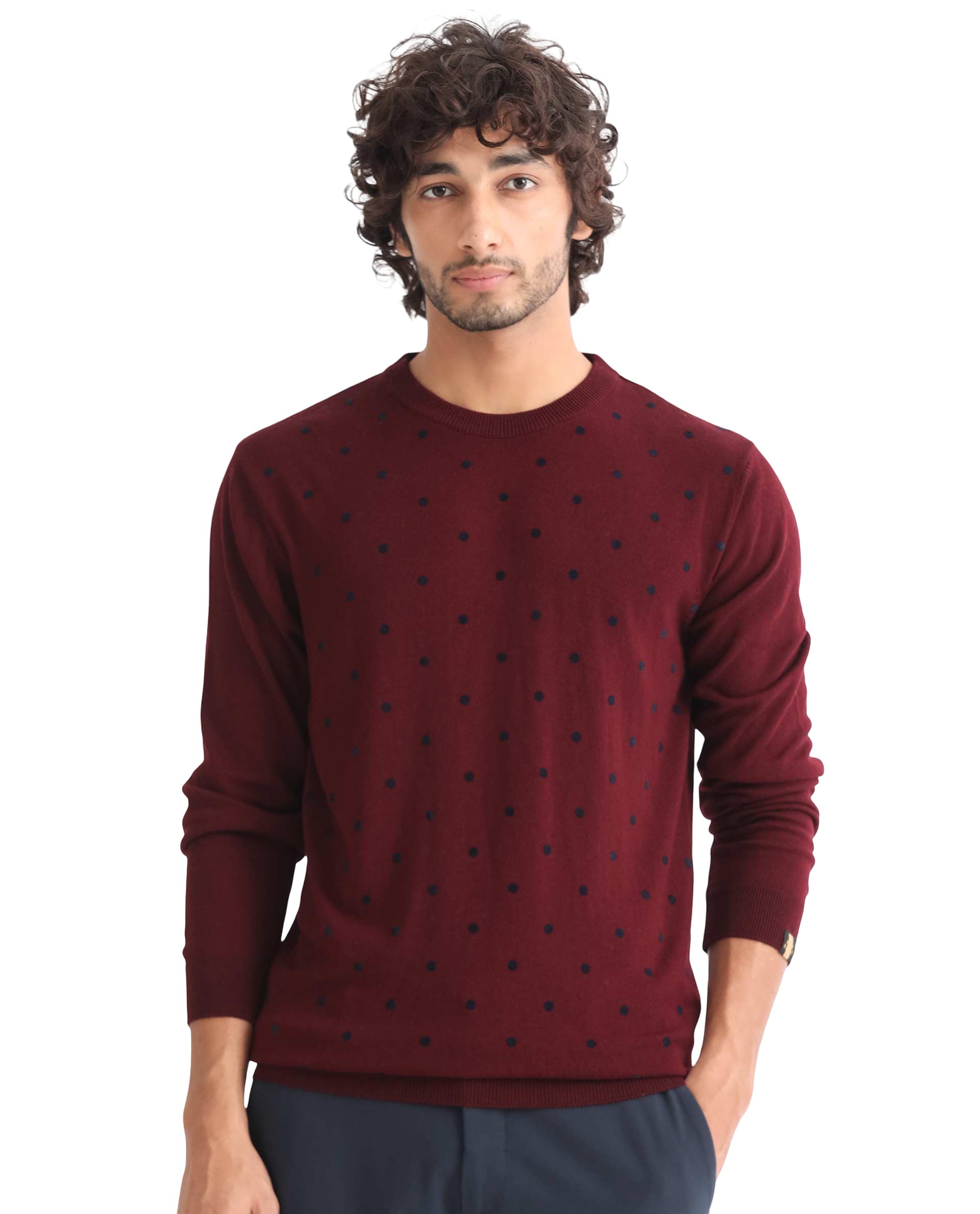 rare rabbit Men's Flock Dark Maroon Viscose Polka Print Relaxed Fit Full Sleeve Crew Neck Sweater-picture-36