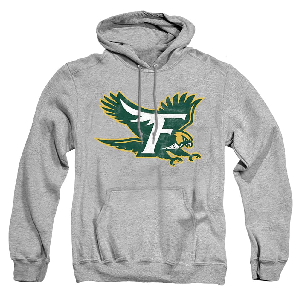 LOGOVISION Official Collegiate Distressed Primary Logo Adult Pullover Hoodie Collection — view 280