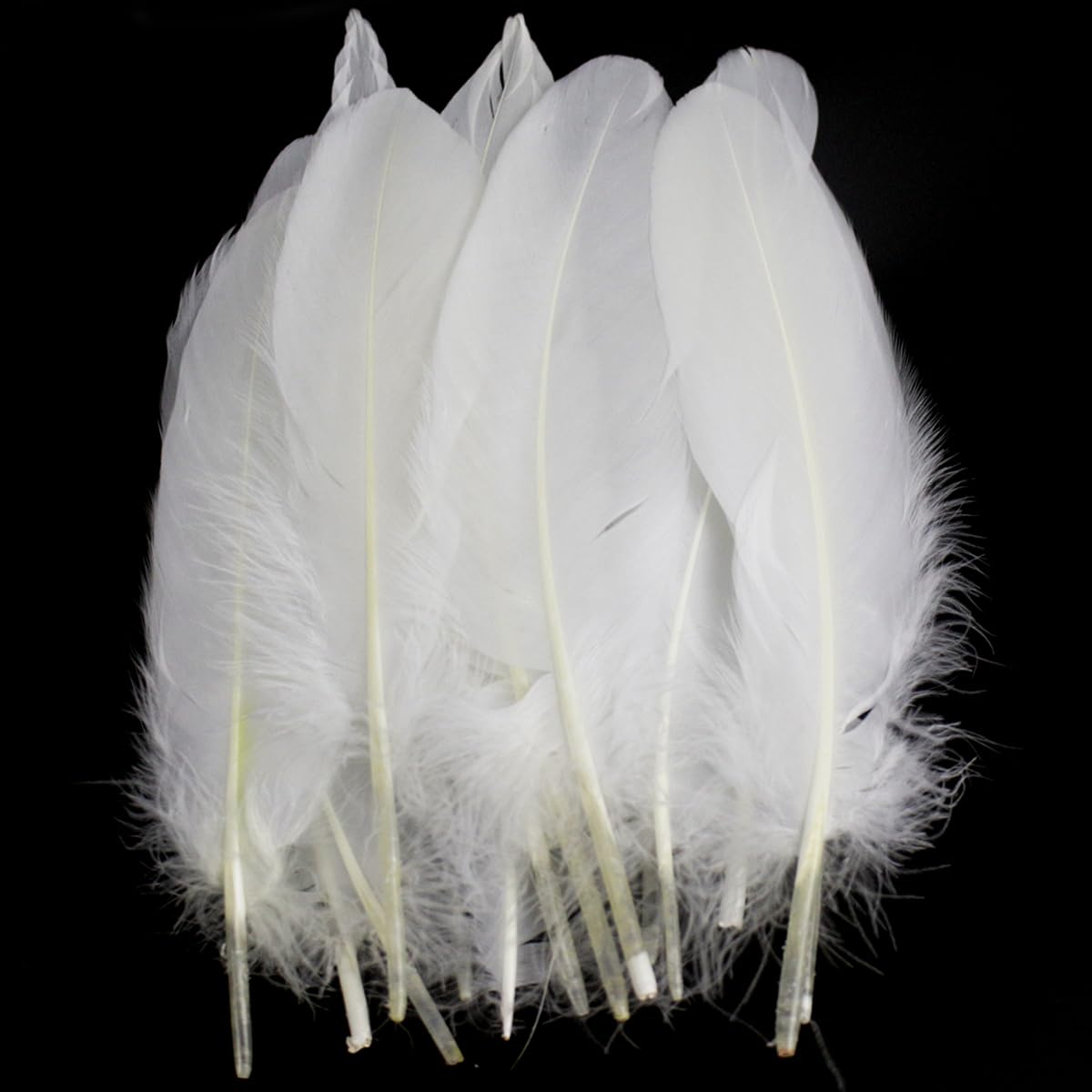 15-20cm 50 PCS White Feathers Natural Goose Feathers for DIY Wedding Decorations Angel Wings & Fairy Crafts