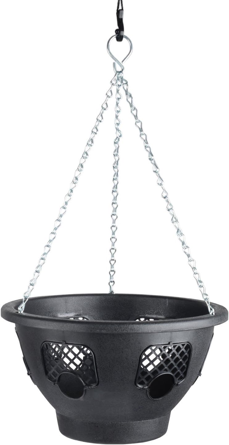 Roots & Shoots 12-inch Hanging Basket