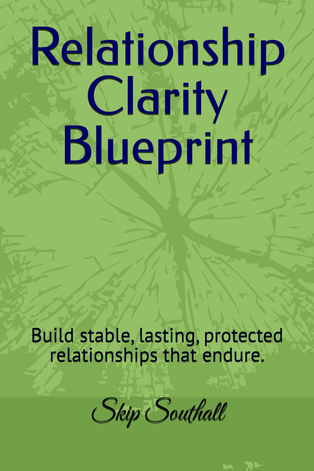 Relationship Clarity Blueprint