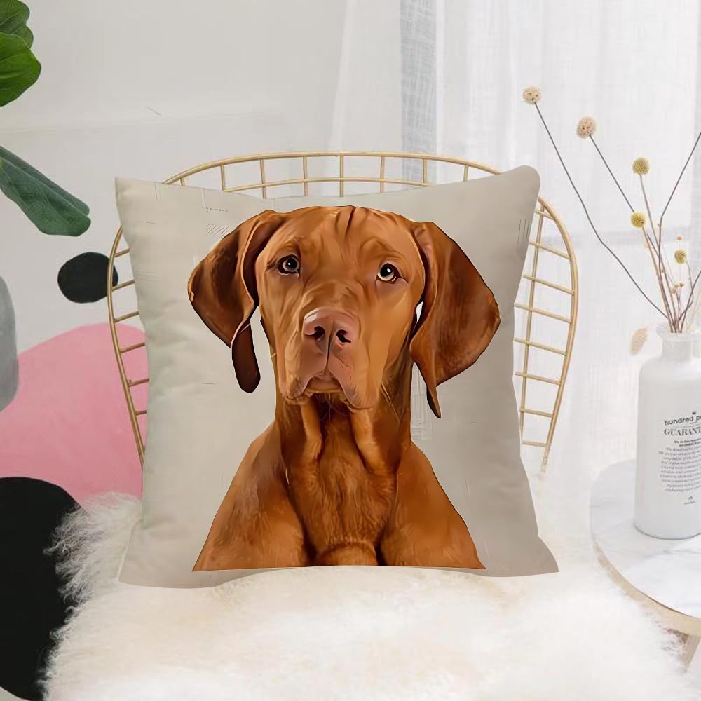 HYOSXW Cushion Cover,Throw Pillow Case Home Decorative for Living Room Bedroom Sofa Chair 16X16 Inch,Portrait of an adorable magyar vizsla looking curiously at the camera - isolate,Pillowcase 40X40cm