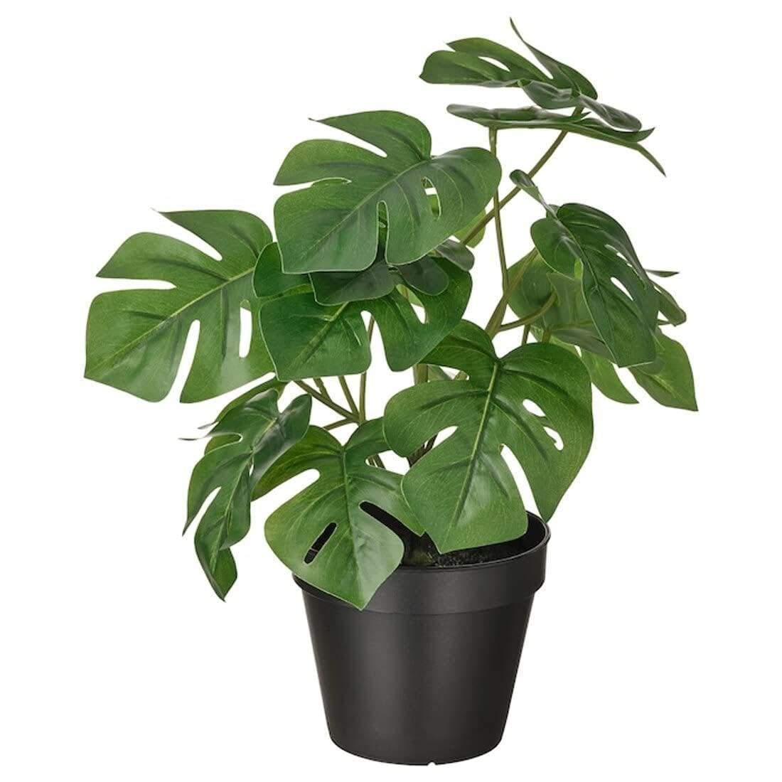 Ikea FEJKA artificial potted plant, 12 cm, in/outdoor Monstera: Buy Online  at Best Price in UAE - Amazon.ae