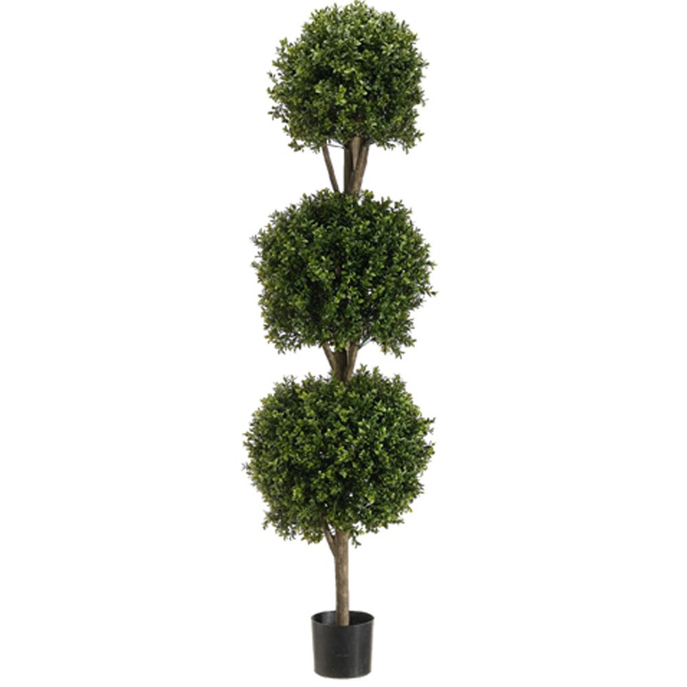 5' Triple Ball-Shaped Boxwood Topiary in Plastic Pot Two Tone Green