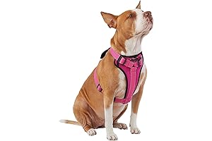 Kong Max Durable Adjustable Neoprene Padded Chest Plate Dog Harness (Pink, Medium)