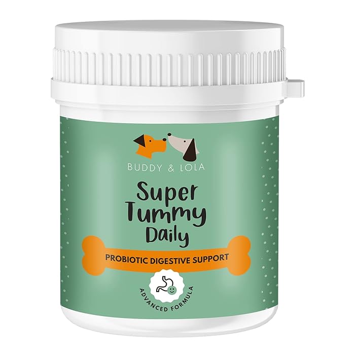 Buy Buddy & Lola Probiotic For Dogs 150g Powder, Simple To Add To