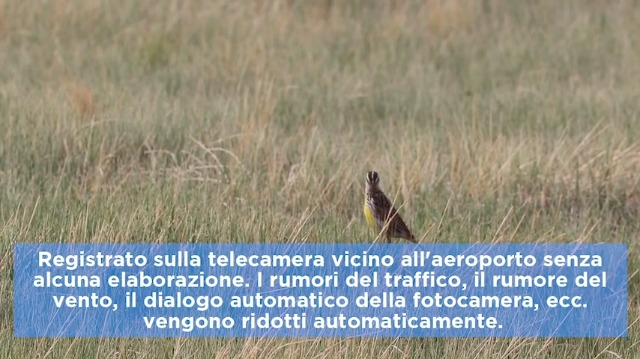 Microfono Shotgun BOYA BY-BM6060 XLR - Super Cardioide Per Video E Interviste - Foto 6