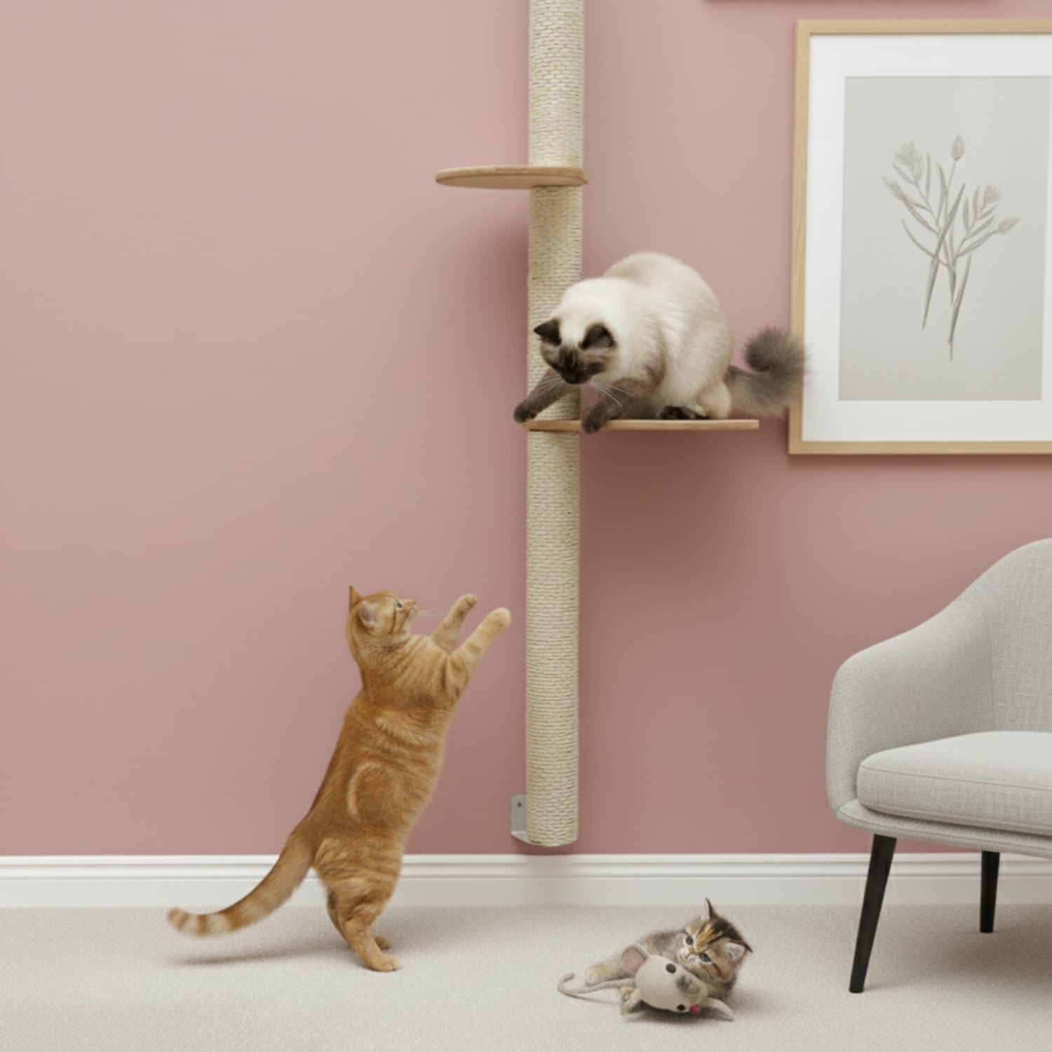 eyepower 170 cm Wandkratzbaum Luna mit 3 Plateaus zum Klettern - Kratzbaum Groß für Katzen - Kletterbaum mit Wandhalterung - Katzenbaum zur Wandmontage - Kletterwand Katze Kratzstamm Kratzsäule Wand