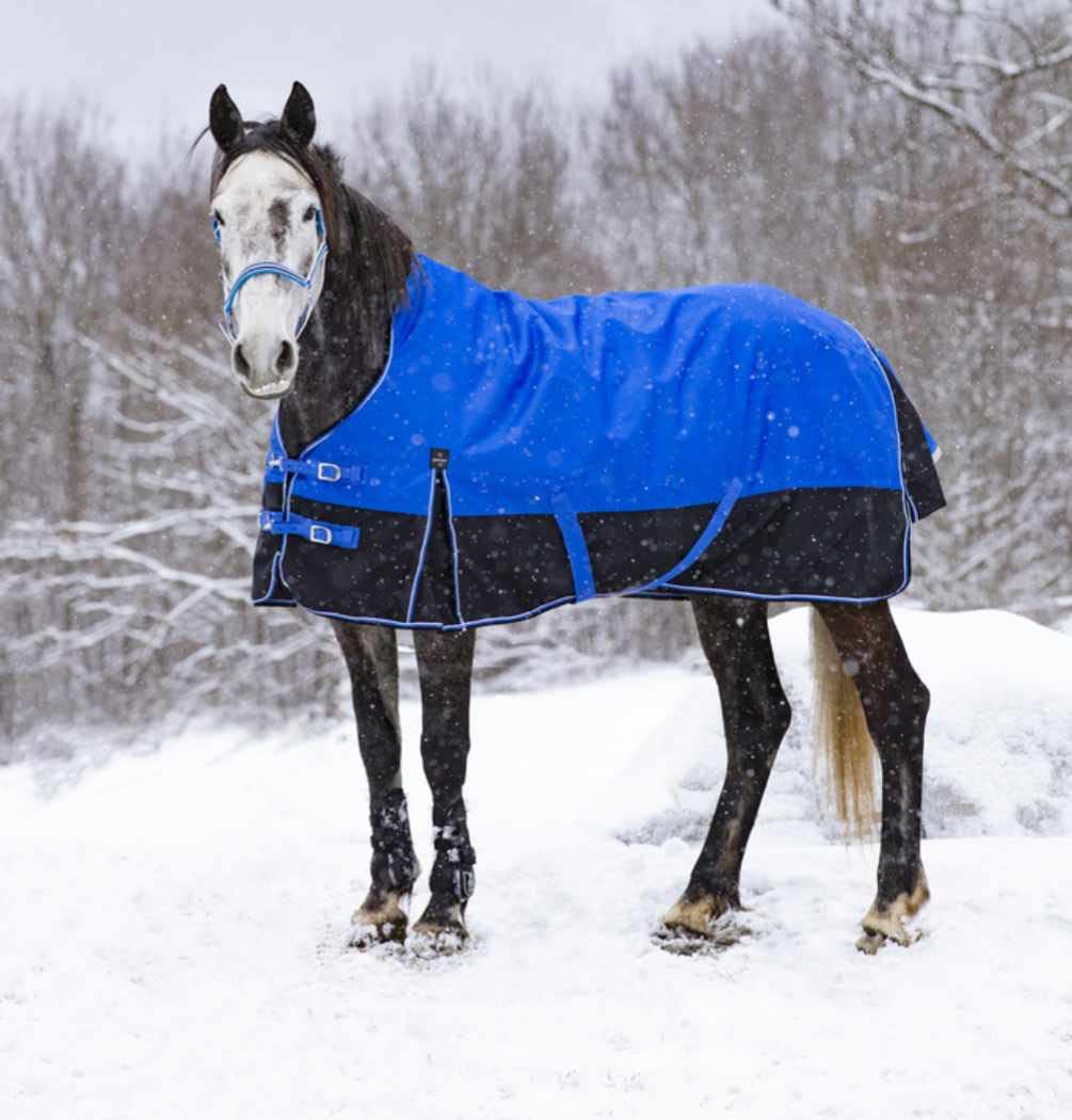 Amesbichler Reitsport Tyrex 1200D Couverture D'extérieur à Col Haut 300 G Imperméable Et Respirante Plissée Aisance