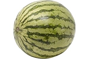 Organic Mini Seedless Watermelon: The Sweetest Superfruit for Summertime Refreshment
