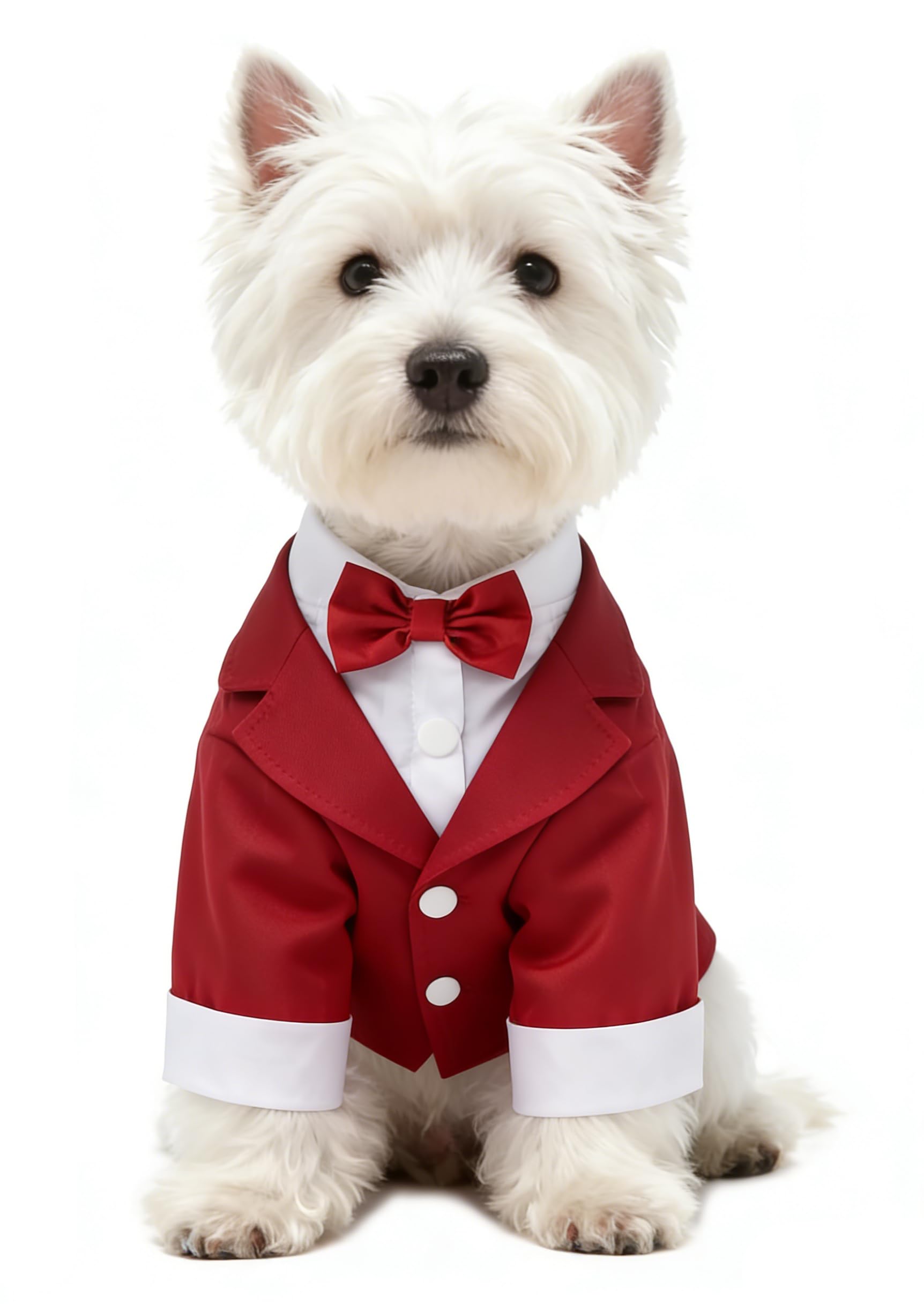 Veste de mariage pour animaux costume ajusté anti stress M