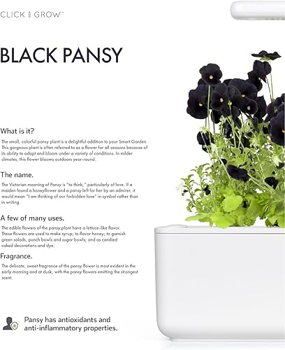 Miniatura 5 de Click and Grow Smart Garden - Cápsulas de plantas de pensamiento negro, paquete de 3