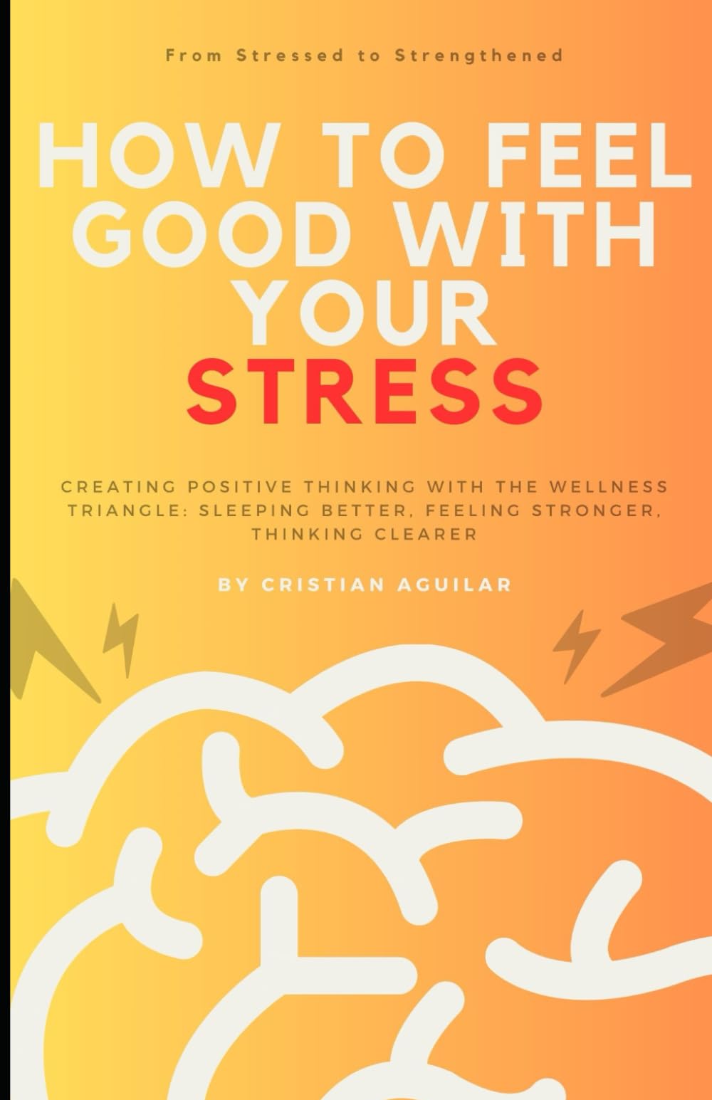 How to feel good with your stress: Creating positive thinking with The Wellness Triangle: Sleeping Better, Feeling Stronger, Thinking Clearer
