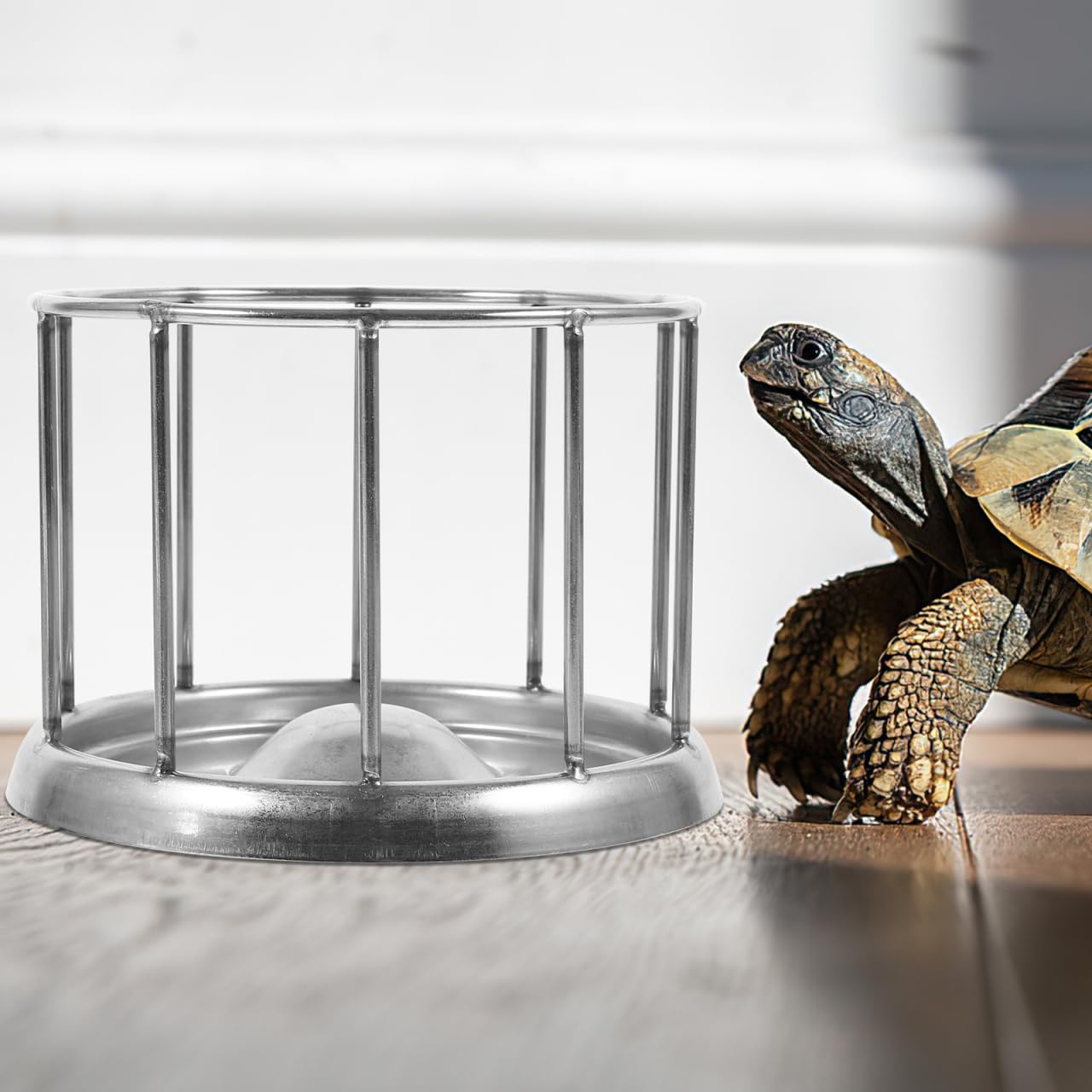 Cabilock Distributeur de Nourriture en Acier Inoxydable pour Tortues et Reptiles avec capacité - Élégant Bol de Nourriture avec Finition Fine pour terrariums et Cages pour Animaux de Compagnie