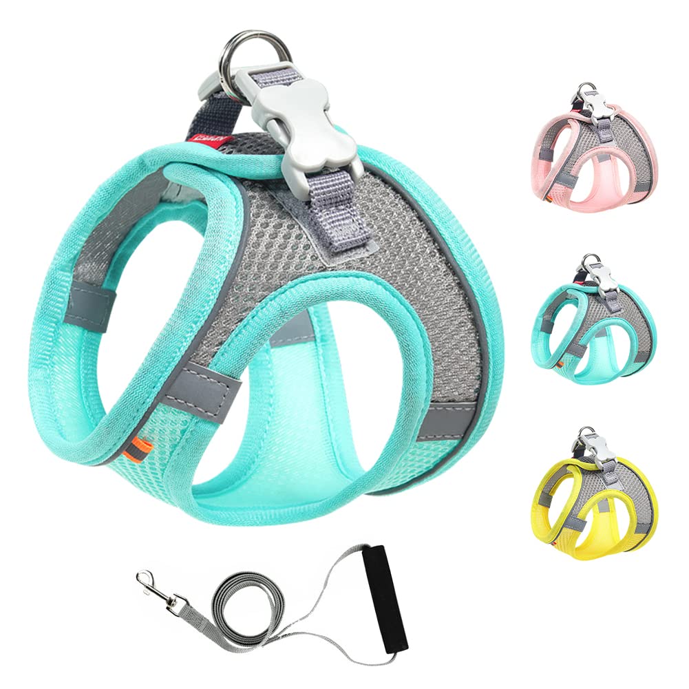 Mitili Arnes Perro Antitirones con Correa, Ajustable Transpirable Reflectantes Cómodo Chalecos Perro, Arnés Juego de Arnés y Correa para Perros y Gatos de Pequeño y Mediano (XS, Verde Menta)