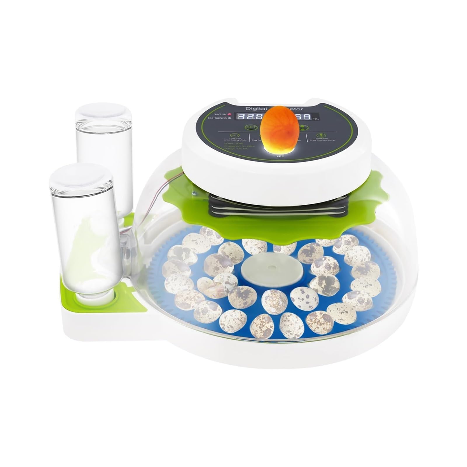 Incubadoras for huevos for incubar, Incubadora de huevos de codorniz | Incubadora automática de Control de humedad y giro de huevos, for laboratorio de aula en casa, perdiz(33 eggs)