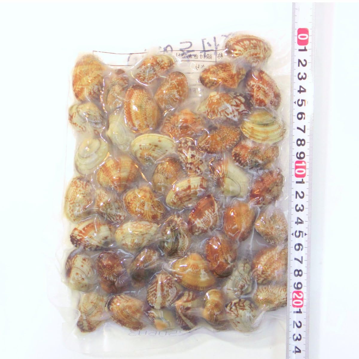 Amazon.co.jp: 殻付き あさり 1kg 冷凍 お吸い物や深川煮など
