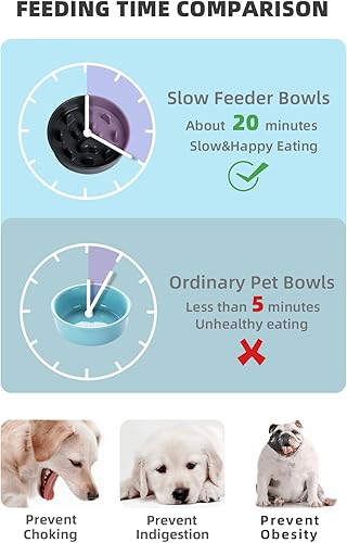 Vista 14 de HAOTOP Ceramic Fun - Tazón de alimentación lenta, cuenco de porcelana para perros de tamaño mediano (blanco)