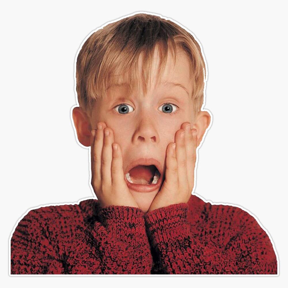 Home Alone Bumper Sticker Window Vinyl Decal 5"