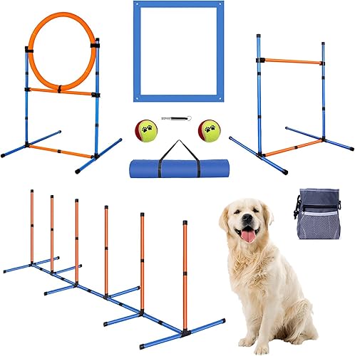 Juego de equipo de agilidad para perros, kit de entrenamiento de carreras de obstáculos, incluye obstáculo de salto alto, aro, postes de tejido, Set