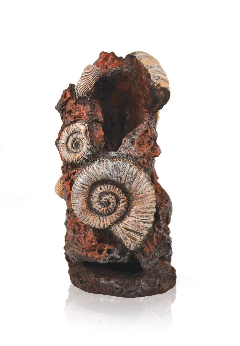 biOrb Muschelbaumstumpf Ornament - Aquarium-Deko in Form eines Baum-Stumpfs, Zubehör fürs Aquarium-Becken, in Braun/Holz-Optik