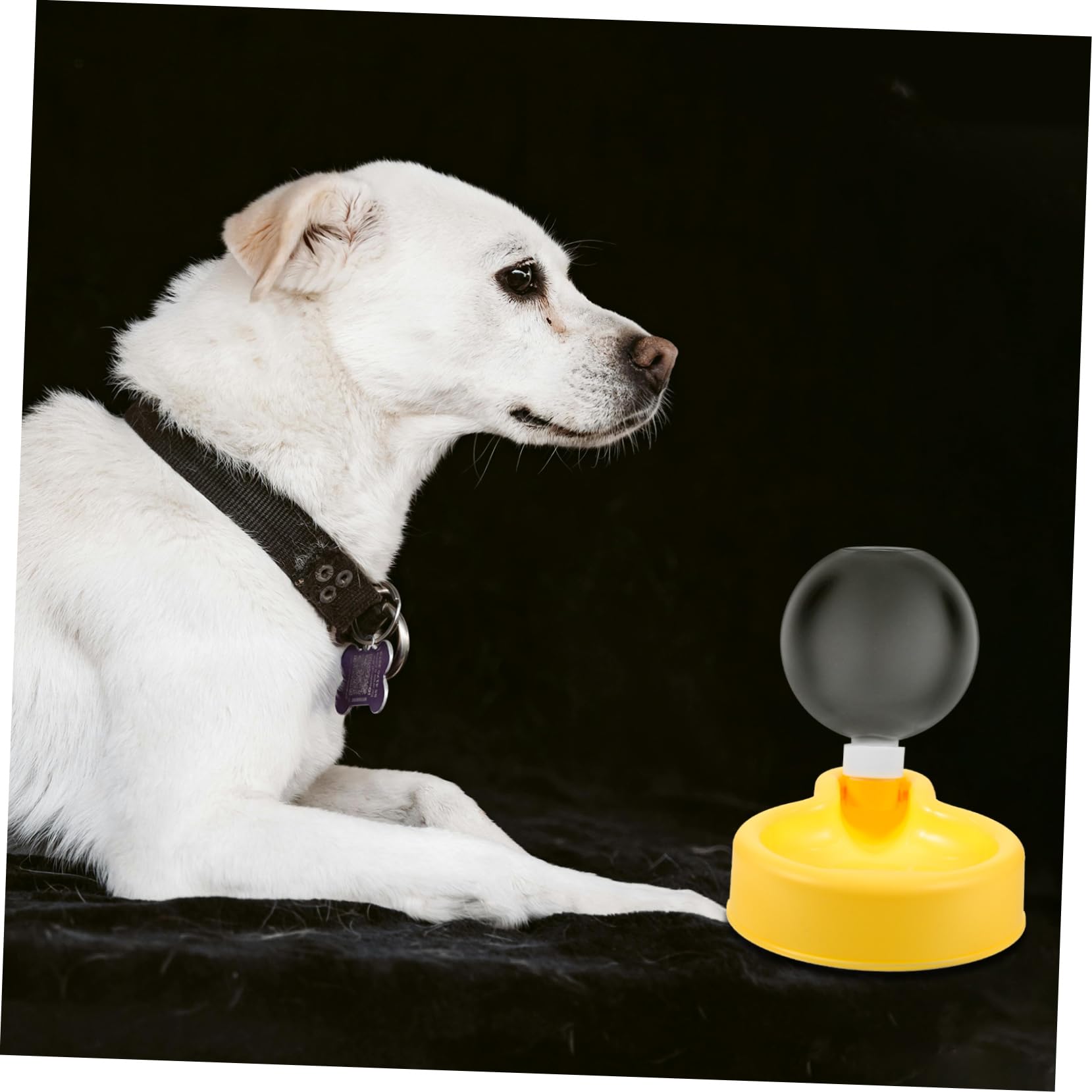 BESPORTBLE 5piezas Botella De Agua para Perros Portátil De Gran Capacidad Bebedero para Mascotas Actividades Al Aire para Caminatas y Paseos Cachorros