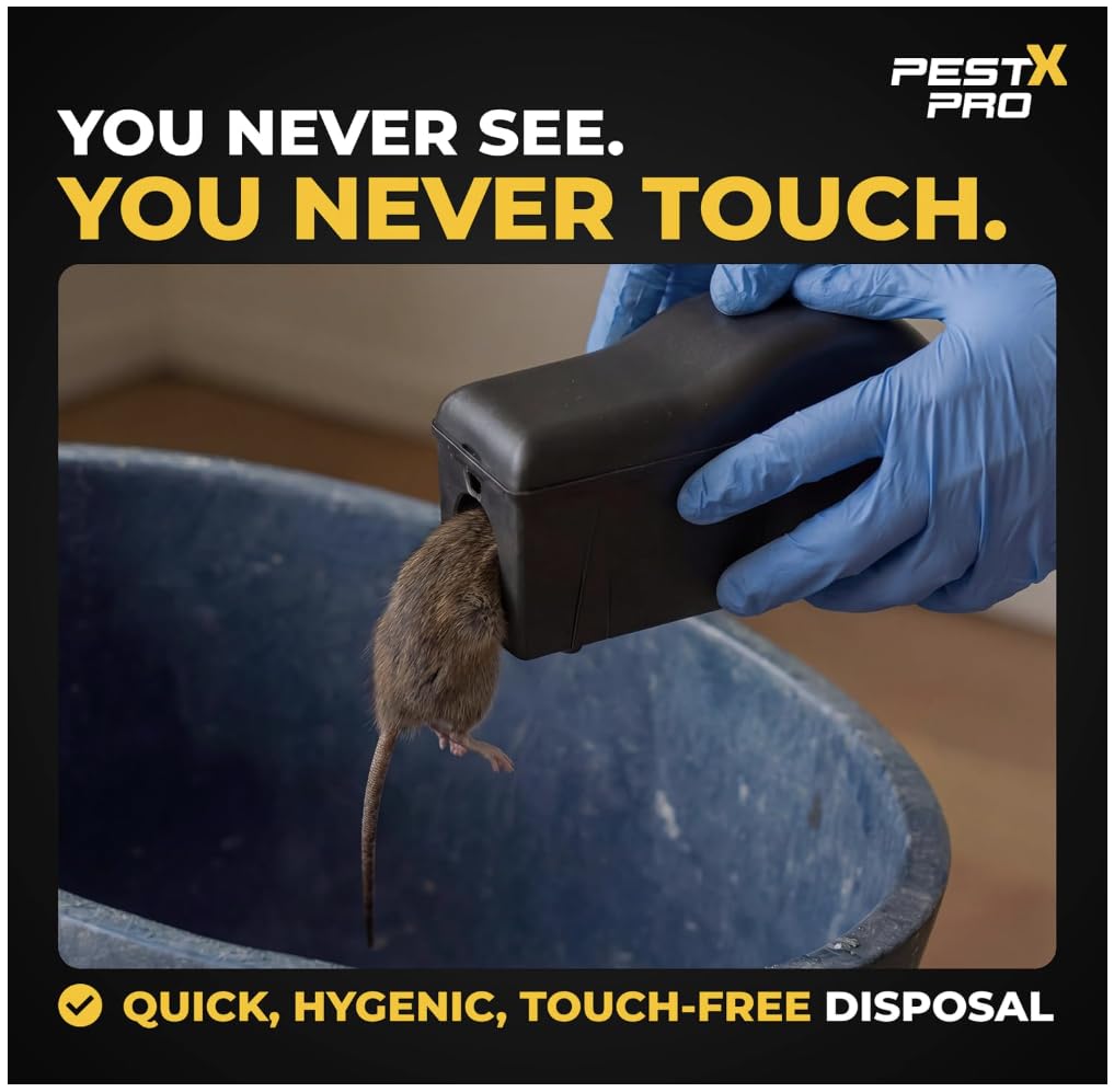 View 5