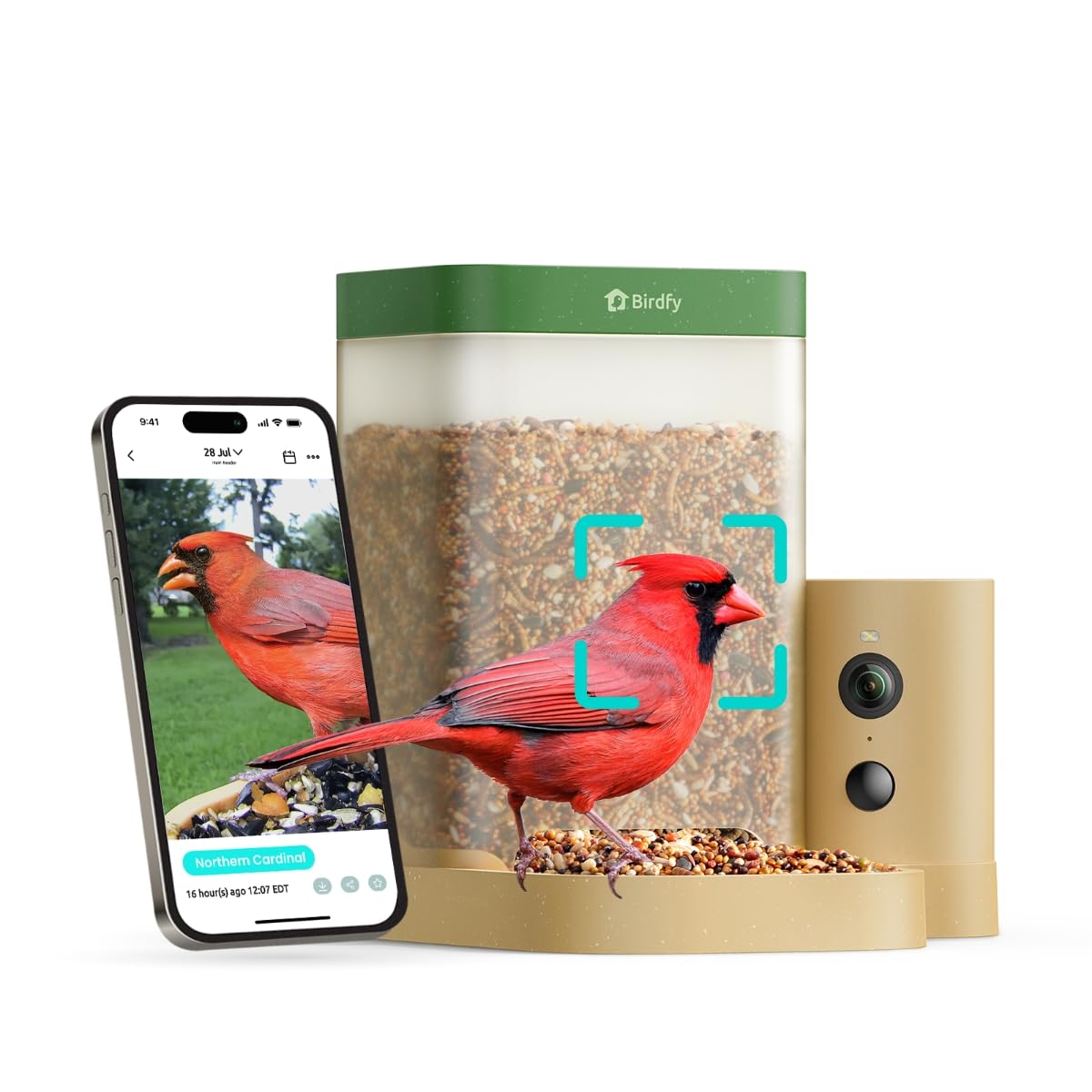 Birdfy Smart Bird Feeder with Camera for Rookie, Camera Bird Feeder Dual Night Vision, AI Recognition IP66 Waterproof for BirdLovers