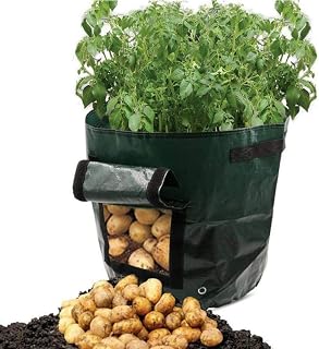 Amazon.es: huertos urbanos - Recipientes para plantas y accesorios ...