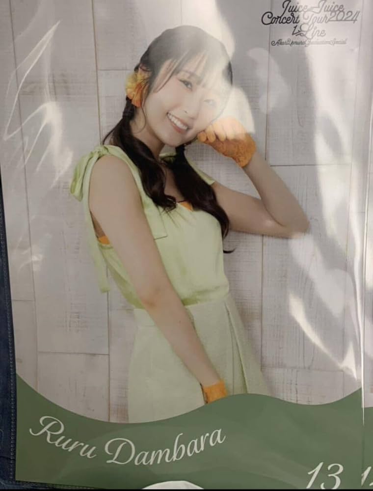 Amazon.co.jp: 段原瑠々 13 コレクションピンナップポスター ピンポス