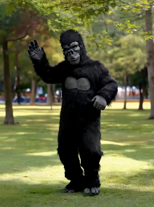 Kgromfy Mono De Murciélago Negro Adulto Halloween Animal De | Envío Gratis