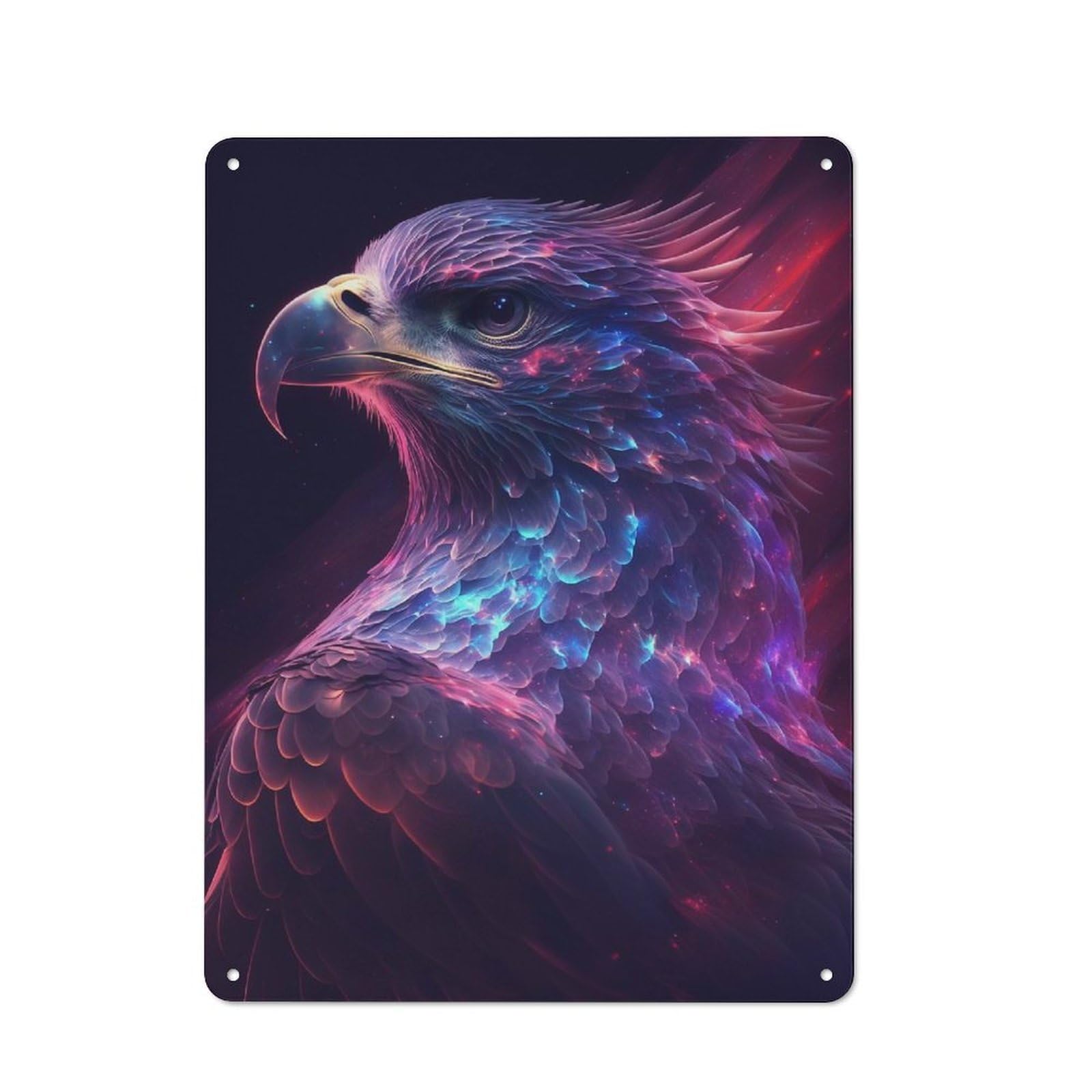 Junmoney Galaxy Eagle Hawk Bird Rustic Tin Sign 40X30cm, Shed Style Utility Space Decor For Patio Bar, Workshop, Shed Or Kitchen