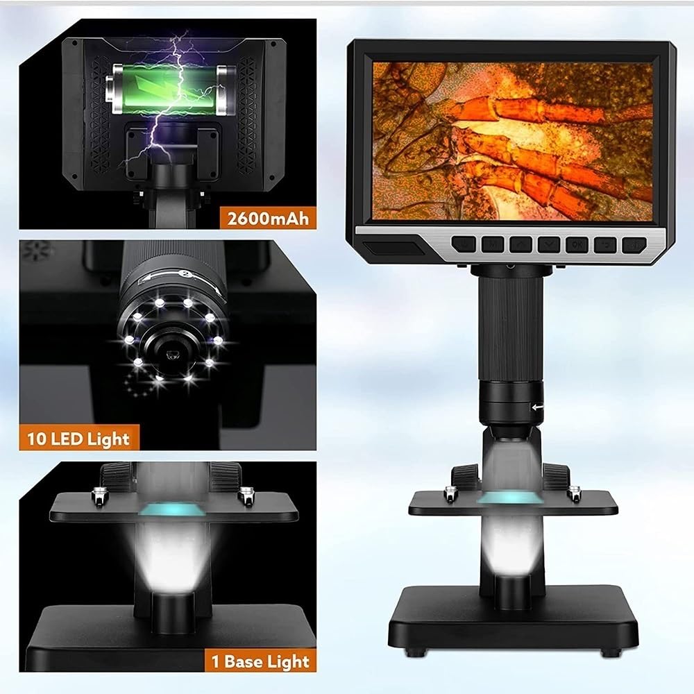 Zestaw akcesoriów do mikroskopu Podwójny obiektyw Biologiczny HD Cyfrowy mikroskop ogniwowy 50-2000X 12MP 11LED do slajdów mikroskopowych naukowych (kolor: biurko USB)