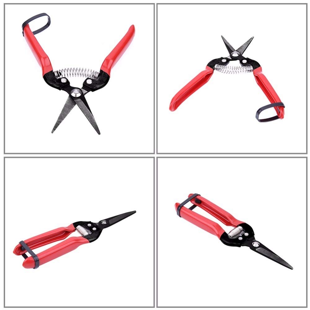 Cesoie di potatura L'innesto Giardino Forbici alto tenore di carbonio acciaio Fruit Tree Cesoie Bonsai Pruners Giardinaggio Cesoie del giardino Cesoie .Per il giardino, gli alberi, i cantieri, il parc