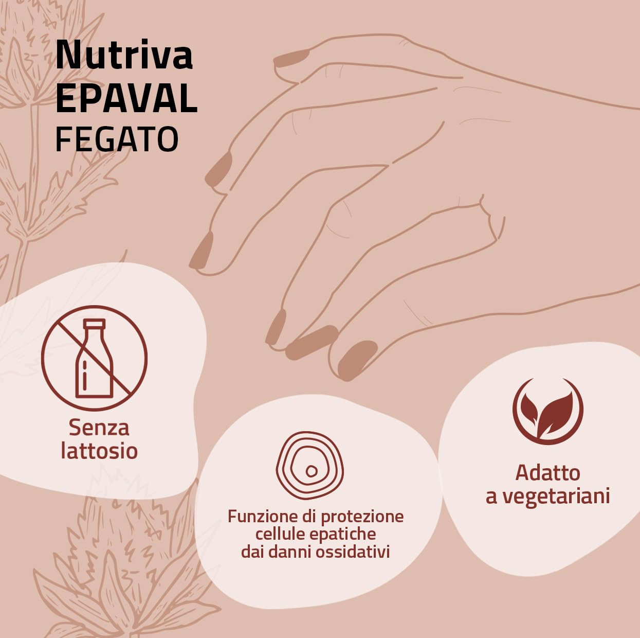 NUTRIVA Epaval, Integratore alimentare con Betaina, Colina, Inositolo, Metionina, N-acetilcisteina ed estratti vegetali. Utile al fegato e per digestione. 50 capsule