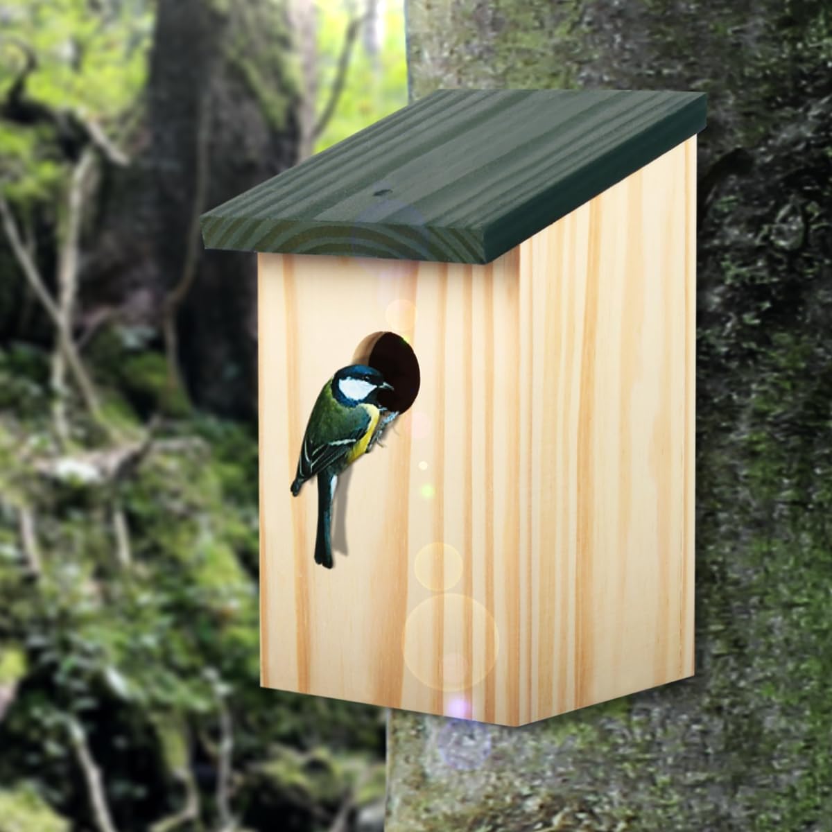 4er Set Nistkasten Nisthöhle aus Massiv - Holz für kleine Vögel Meisen Vogelhaus