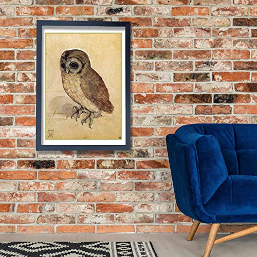 Albrecht Durer The Little Owl cadre photo géant habiller grand mur vide - 3